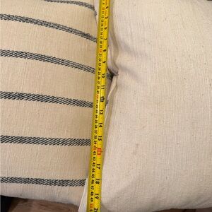 West Elm Cream and Black Accent Pillows